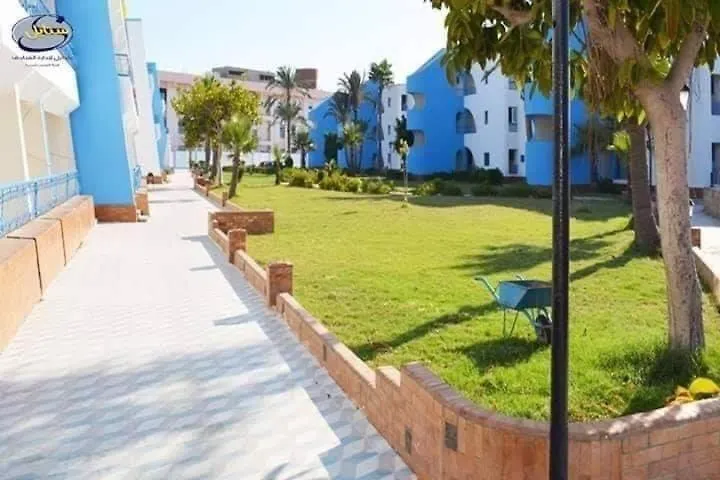 قرية النورس السياحية-1