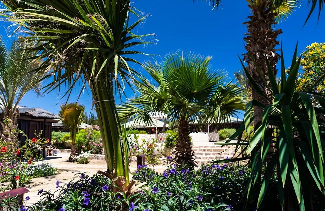 Abu Dabbab Lodge-1