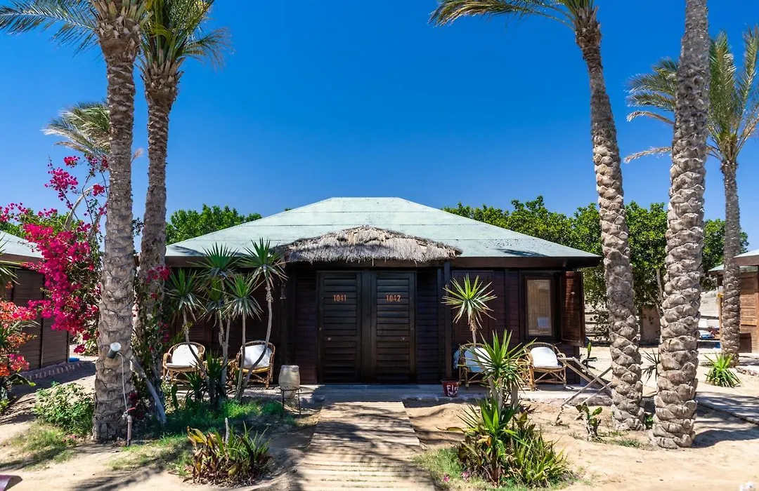 Abu Dabbab Lodge-1