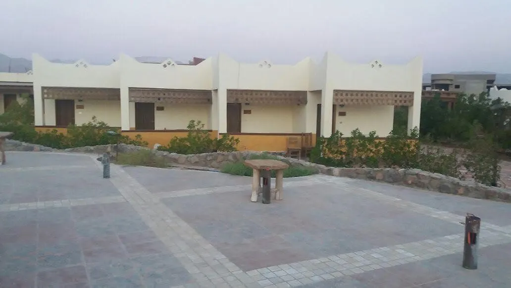 Gulf Paradise-1