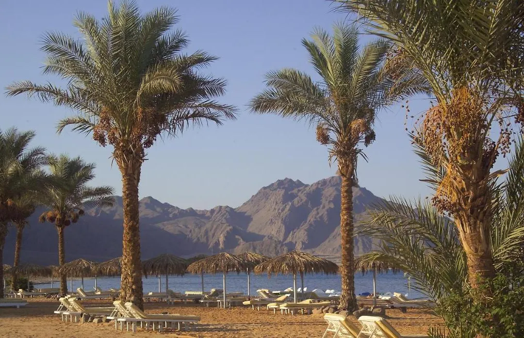 La Playa Beach Resort Taba-1