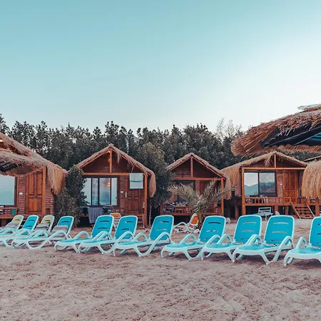Paradise Sweir-3
