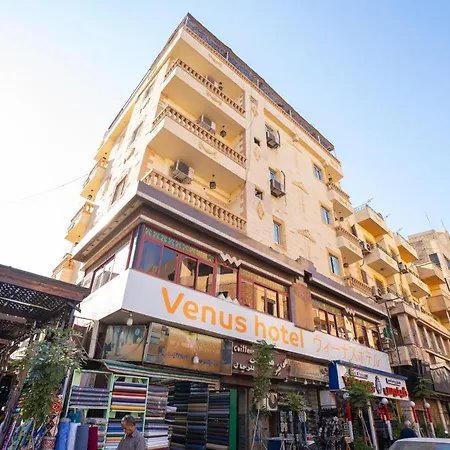 Venus Hotel Luxor 日本人 大歓迎-3