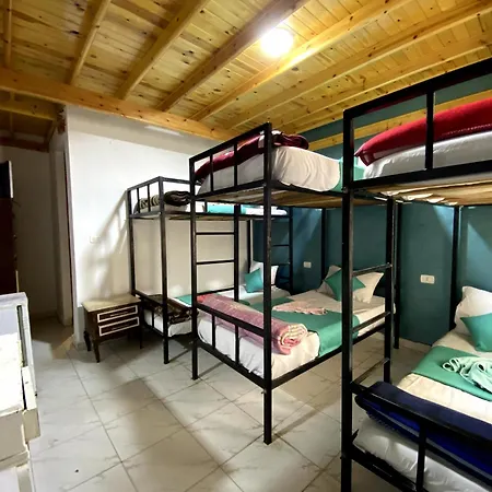 Octopus Hotel-2