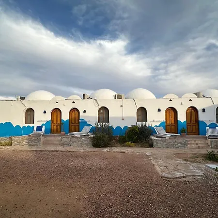 Dolphin Camp-3
