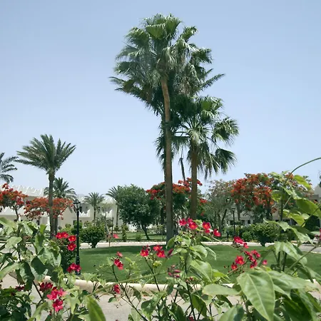 منتجع سويس ان دهب-3