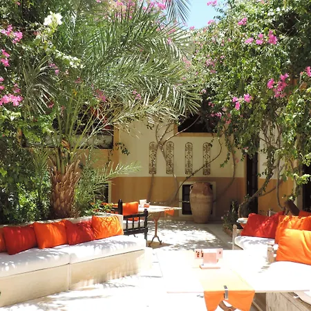 Dawar El Omda (Adults Only)-2