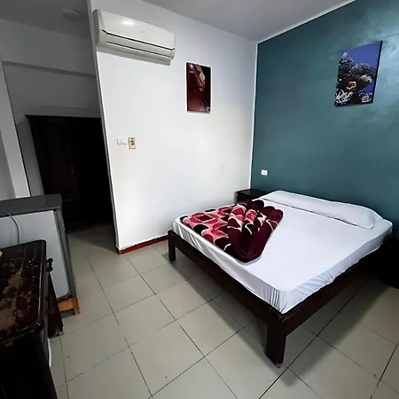 Octopus Hotel-3