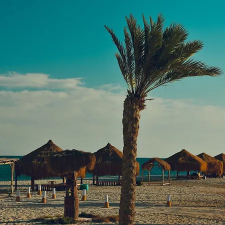 سفاري بيتش نويبع-3
