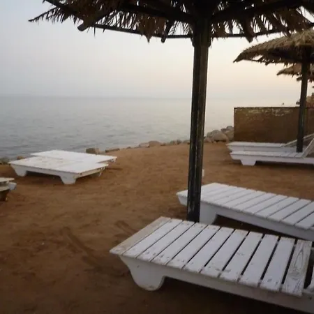 Dolphin Camp-3