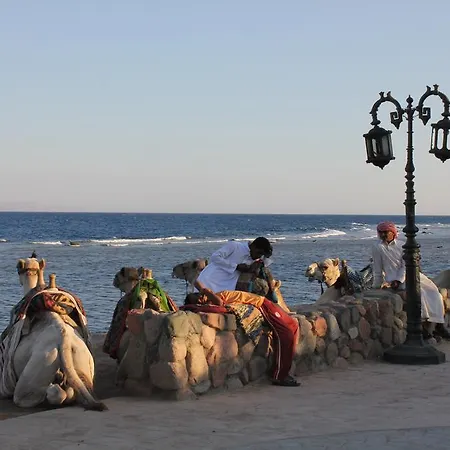 فندق لارين دهب-3