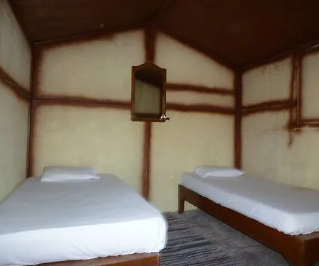 Dolphin Camp-2