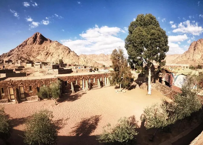 Sheikh Mousa Bedouin Camp