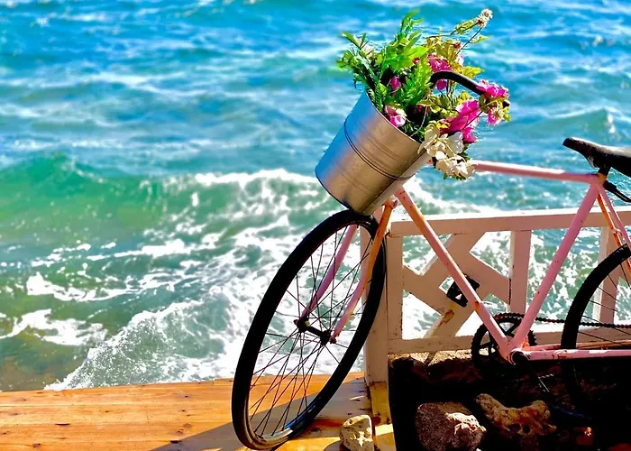 Happy Land Dahab