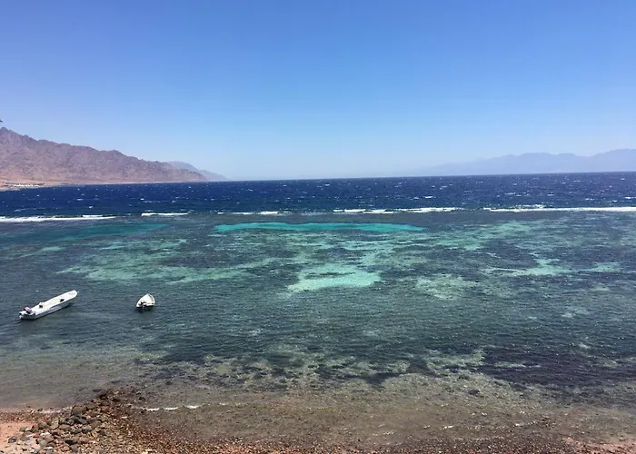 Iaru Nub - ايارو نوب