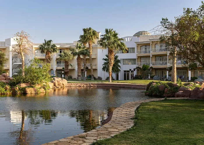 Palm Royale Resort - Сома-Бей