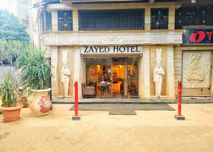 زايد القاهرة