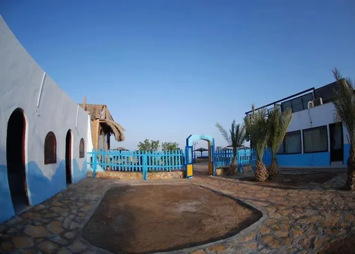 Dolphin Camp