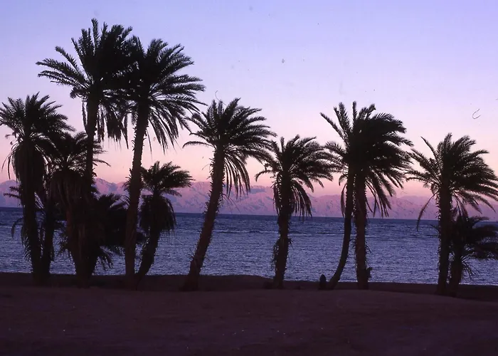 Star Of Dahab